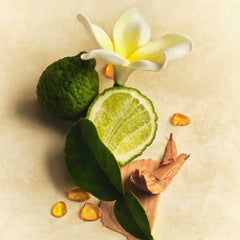 Skin Perfecting Body Lotion R4